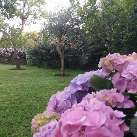Casa Natura E Relax * Viagrande