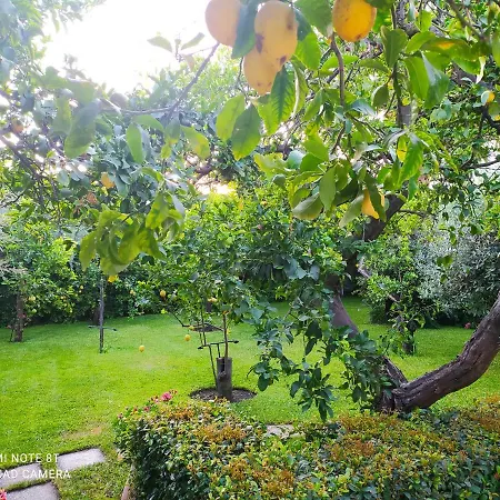 Casa Natura E Relax